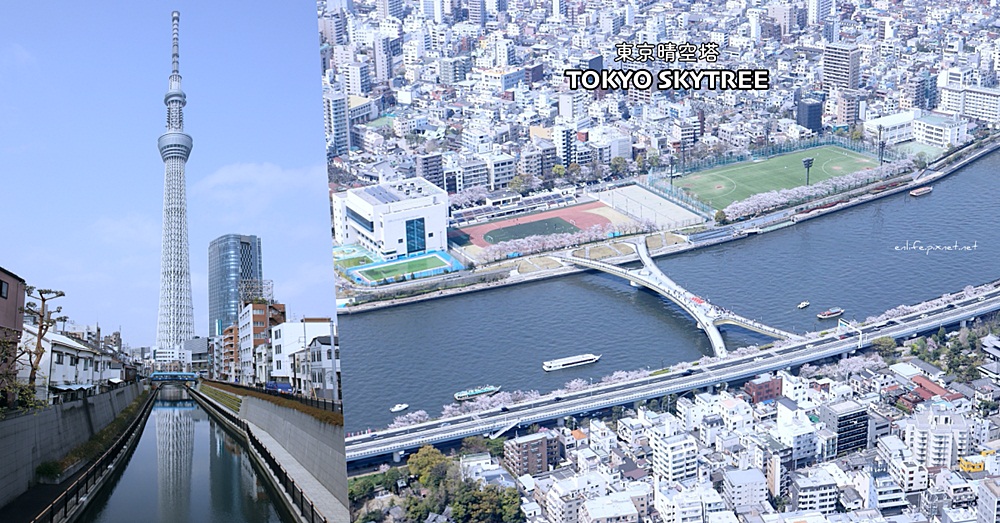 東京自由行｜東京晴空塔TOKYO SKYTREE：登上世界第二高塔俯瞰東京都粉嫩櫻花勝景！一次雙塔倒影就在十間橋千萬別錯過～