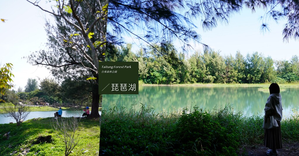 台東森林公園琵琶湖：走路５分鐘就到！離琵琶湖最近的入口在哪？宛如仙境般的天然景致，果然是台東最美最推薦景點無誤～