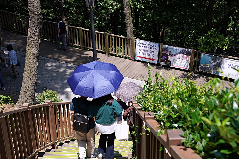 釜山新景點｜松島龍宮雲橋：松島海上纜車旁不能錯過的順遊景點！可以看到日本的松島龍宮空中步道～