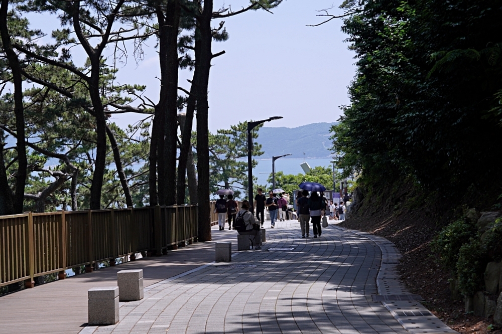 釜山新景點｜松島龍宮雲橋：松島海上纜車旁不能錯過的順遊景點！可以看到日本的松島龍宮空中步道～