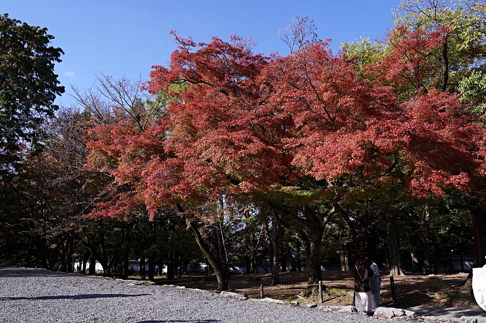 京都賞楓景點 南禪寺：必看三門＆水路閣，周邊美食順正豆腐、藍瓶咖啡一起筆記！