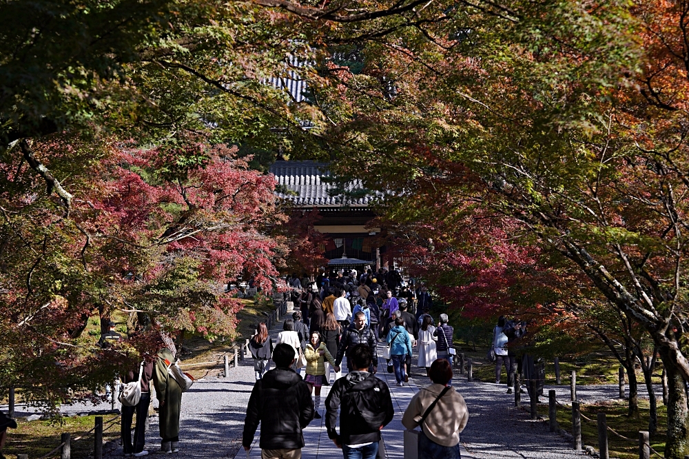 京都賞楓景點 南禪寺：必看三門＆水路閣，周邊美食順正豆腐、藍瓶咖啡一起筆記！