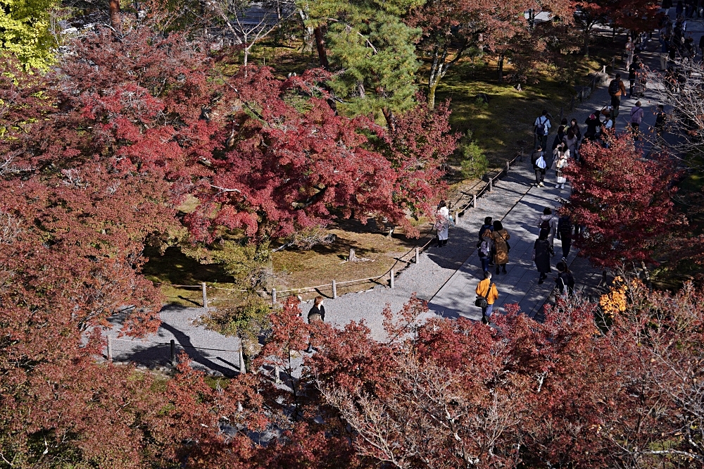 京都賞楓景點 南禪寺：必看三門＆水路閣，周邊美食順正豆腐、藍瓶咖啡一起筆記！