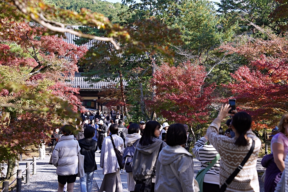 京都賞楓景點 南禪寺：必看三門＆水路閣，周邊美食順正豆腐、藍瓶咖啡一起筆記！