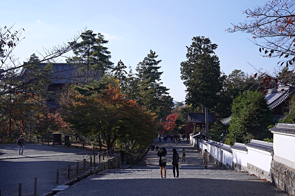 京都賞楓景點 南禪寺：必看三門＆水路閣，周邊美食順正豆腐、藍瓶咖啡一起筆記！