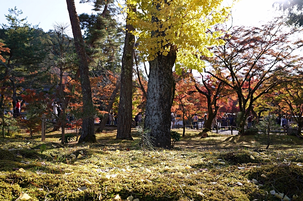 京都賞楓景點 南禪寺：必看三門＆水路閣，周邊美食順正豆腐、藍瓶咖啡一起筆記！