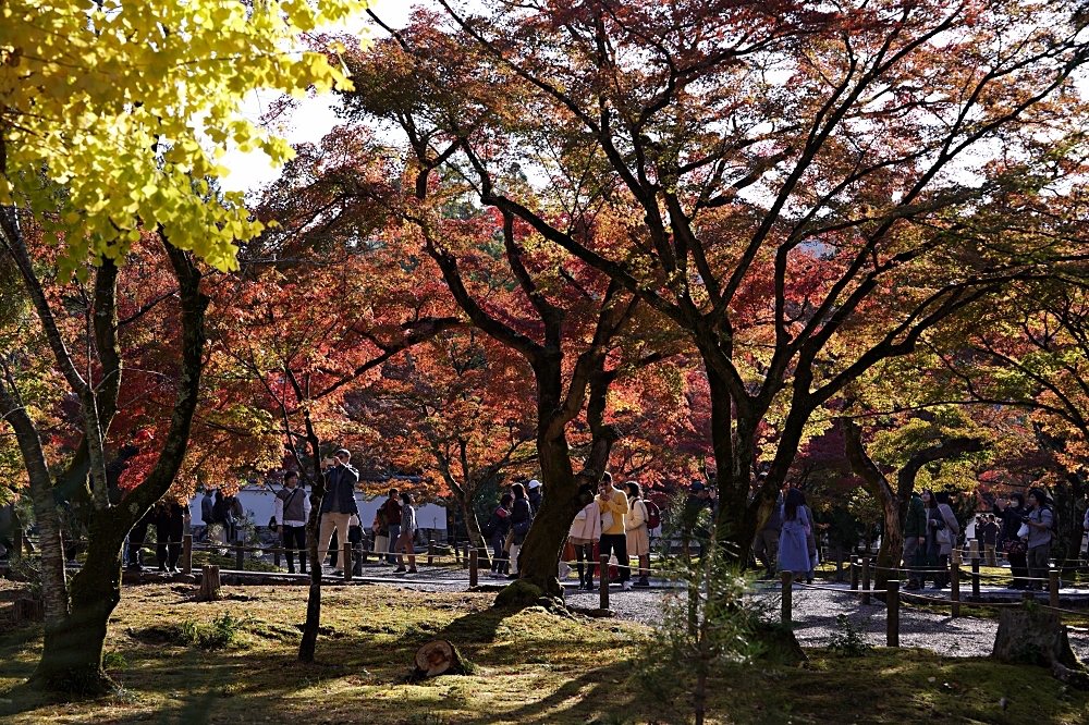 京都賞楓景點 南禪寺：必看三門＆水路閣，周邊美食順正豆腐、藍瓶咖啡一起筆記！