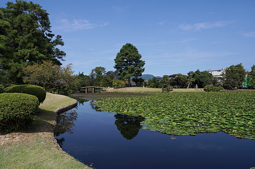 2024 日本岡山森之藝術祭：跟著藝術祭來一趟深入在地的小旅行！津山市 8 件作品一次看！