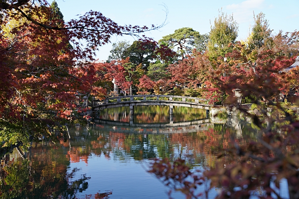 永觀堂：京都最佳賞楓景點！2024夜間點燈時間公佈啦！3000 棵大楓樹好壯觀～