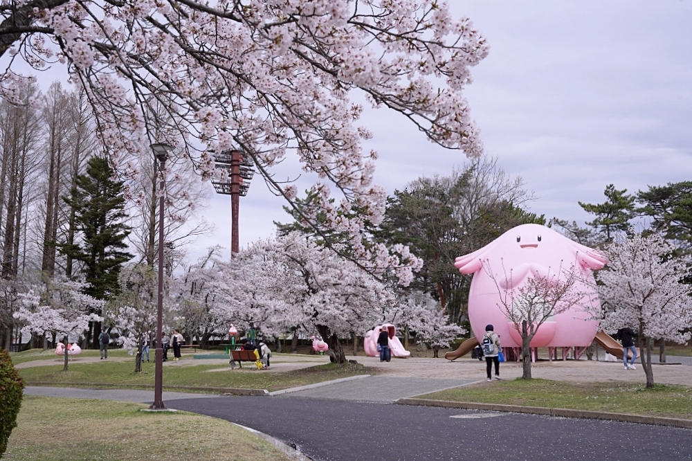 福島郡山景點|開成山公園:櫻花季一定要來的超大公園!還有寶可夢吉利蛋呦~ 福島郡山景點|開成山公園:櫻花季一定要來的超大公園!還有寶可夢吉利蛋呦~