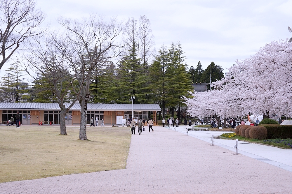 福島郡山景點|開成山公園:櫻花季一定要來的超大公園!還有寶可夢吉利蛋呦~ 福島郡山景點|開成山公園:櫻花季一定要來的超大公園!還有寶可夢吉利蛋呦~