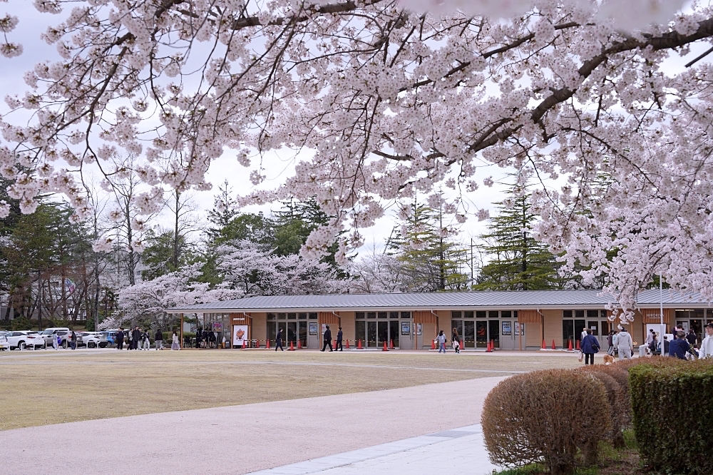 福島郡山景點|開成山公園:櫻花季一定要來的超大公園!還有寶可夢吉利蛋呦~ 福島郡山景點|開成山公園:櫻花季一定要來的超大公園!還有寶可夢吉利蛋呦~