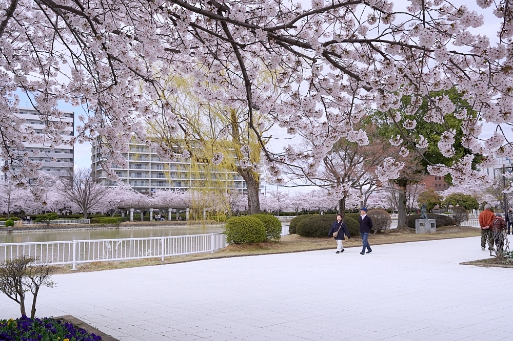 福島郡山景點|開成山公園:櫻花季一定要來的超大公園!還有寶可夢吉利蛋呦~ 福島郡山景點|開成山公園:櫻花季一定要來的超大公園!還有寶可夢吉利蛋呦~