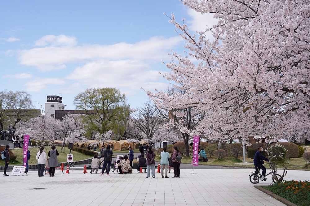 福島郡山景點|開成山公園:櫻花季一定要來的超大公園!還有寶可夢吉利蛋呦~ 福島郡山景點|開成山公園:櫻花季一定要來的超大公園!還有寶可夢吉利蛋呦~