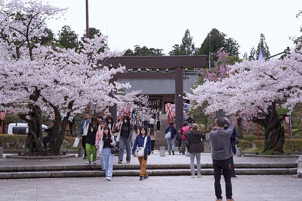 福島郡山景點|開成山公園:櫻花季一定要來的超大公園!還有寶可夢吉利蛋呦~ 福島郡山景點|開成山公園:櫻花季一定要來的超大公園!還有寶可夢吉利蛋呦~