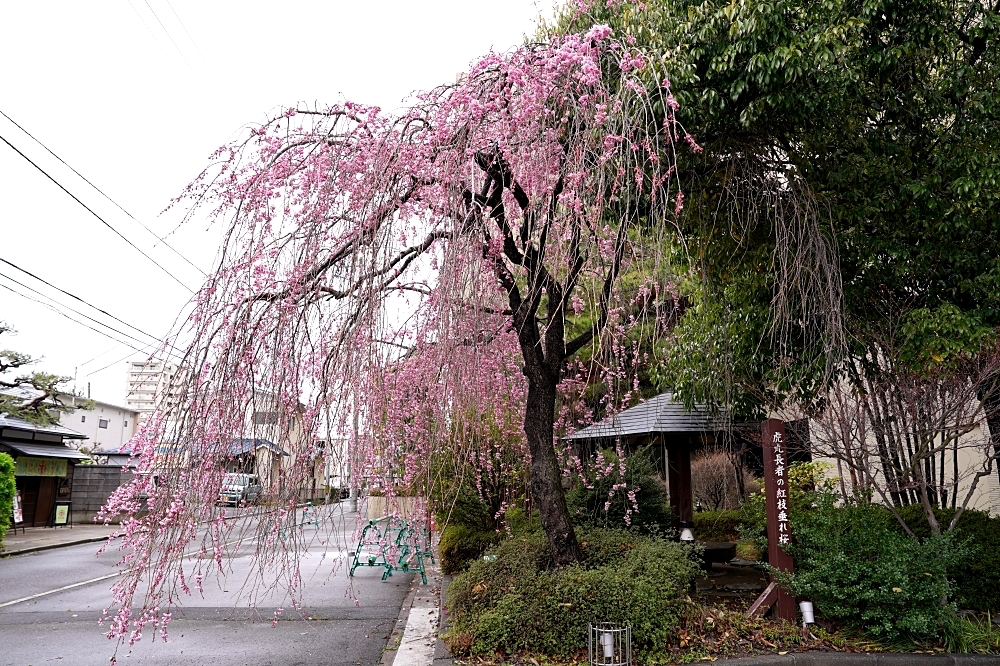 古民家カフェ 虎丸舍:福島郡山美食推薦!近開成山公園,搭公車就到很方便~ 古民家カフェ 虎丸舍:福島郡山美食推薦!近開成山公園,搭公車就到很方便~
