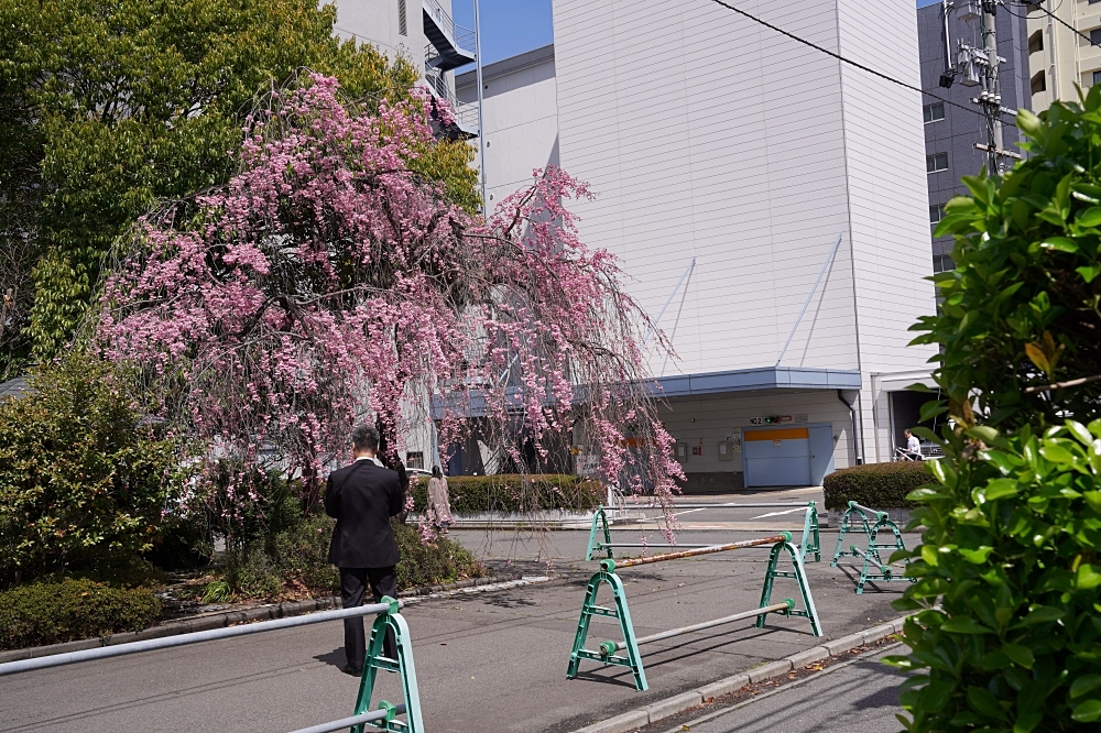 古民家カフェ 虎丸舍:福島郡山美食推薦!近開成山公園,搭公車就到很方便~ 古民家カフェ 虎丸舍:福島郡山美食推薦!近開成山公園,搭公車就到很方便~