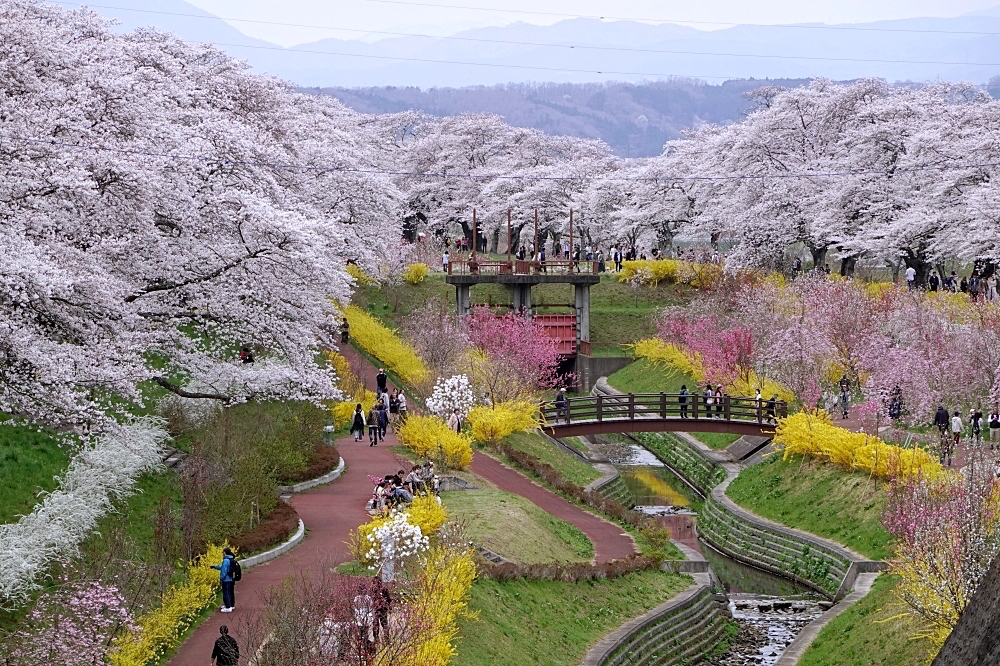 東北仙台福島自由行：景點美食一次筆記，日本旅遊不想人擠人來這就對了～