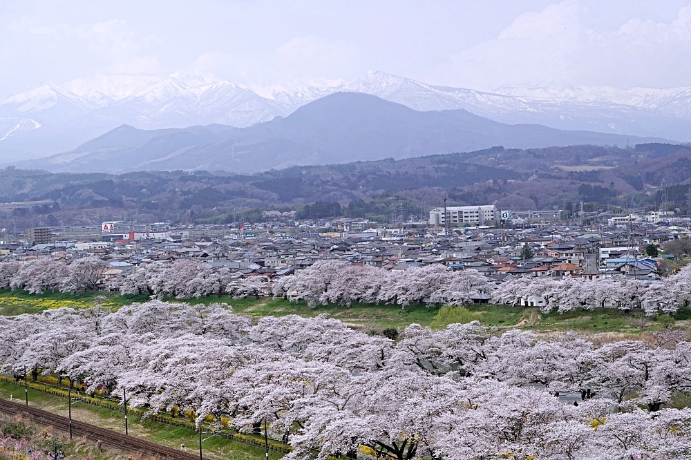 東北仙台福島自由行：景點美食一次筆記，日本旅遊不想人擠人來這就對了～