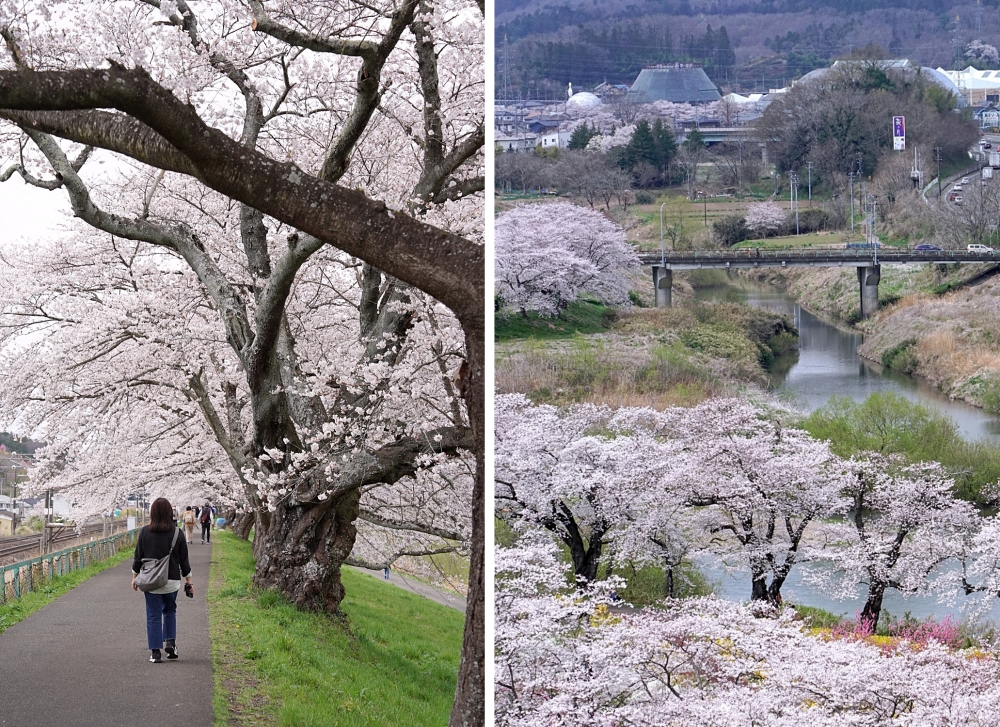 東北仙台福島自由行：景點美食一次筆記，日本旅遊不想人擠人來這就對了～