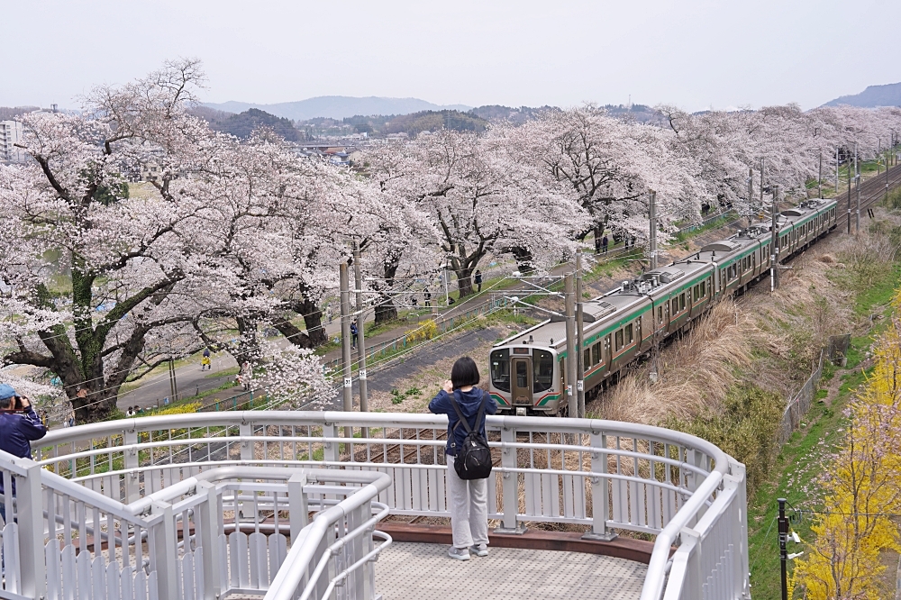 東北仙台福島自由行：景點美食一次筆記，日本旅遊不想人擠人來這就對了～