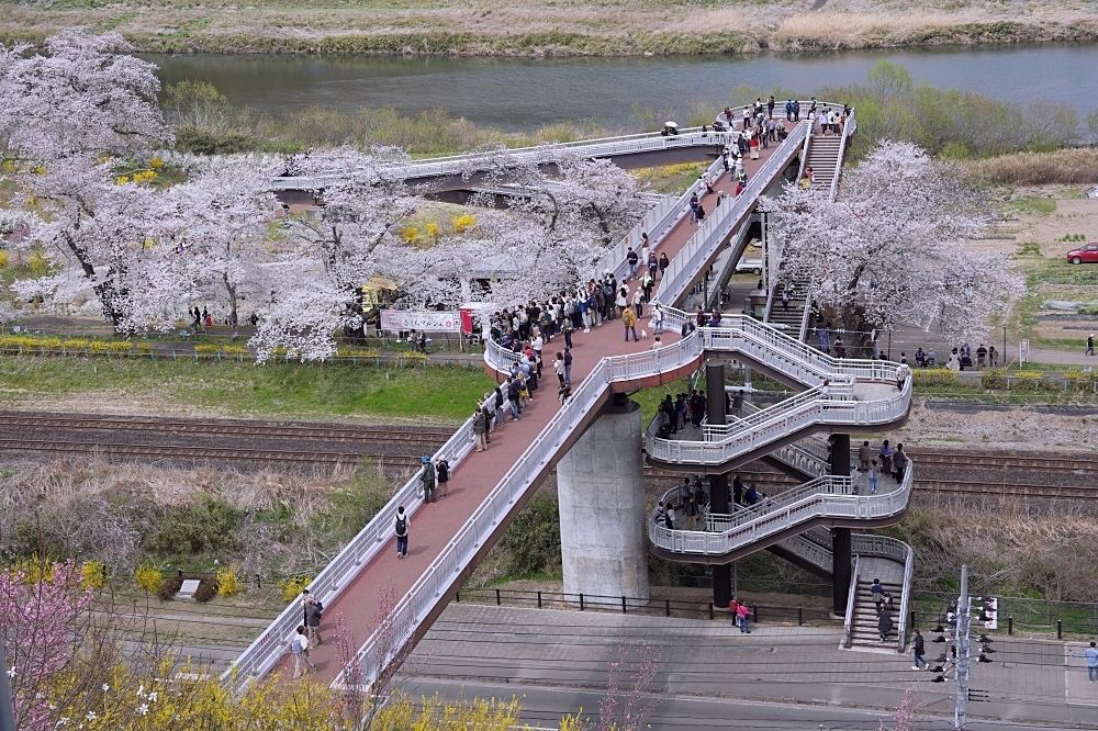 東北仙台福島自由行：景點美食一次筆記，日本旅遊不想人擠人來這就對了～