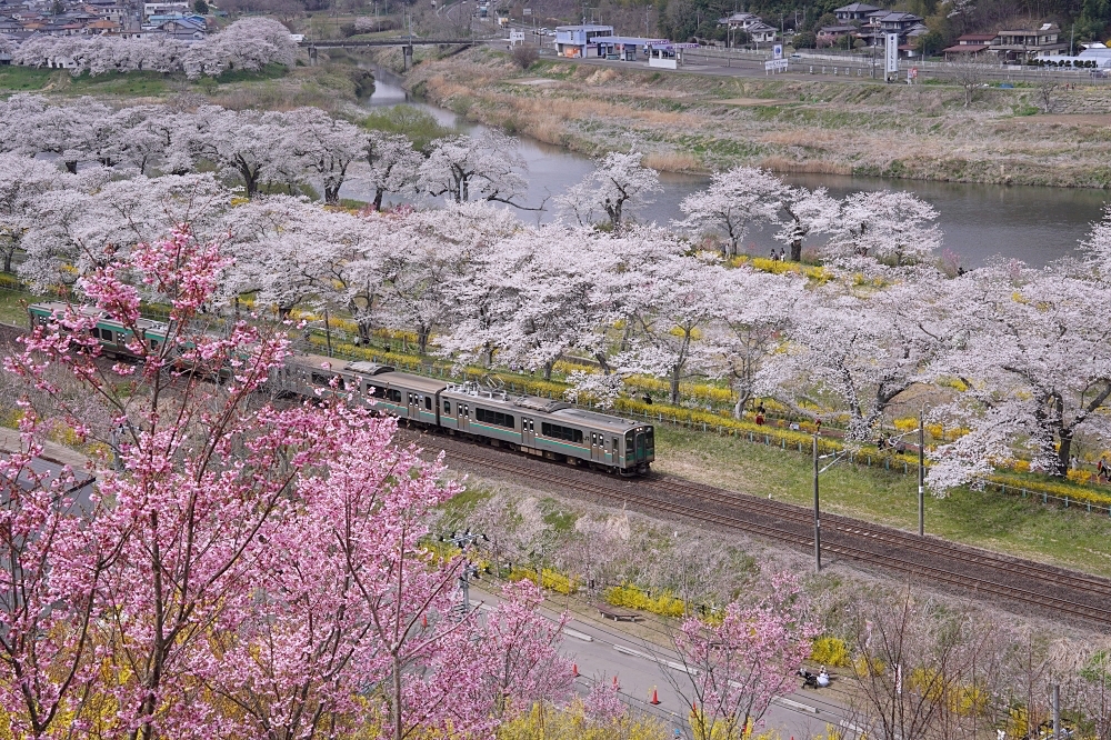 東北仙台福島自由行：景點美食一次筆記，日本旅遊不想人擠人來這就對了～