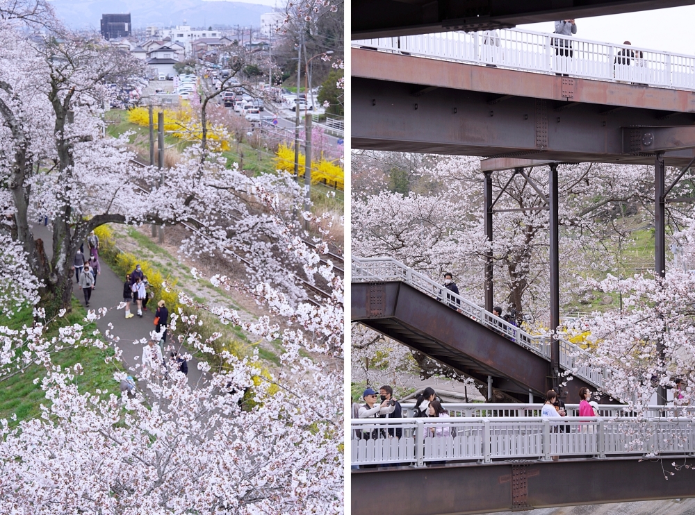 東北仙台福島自由行：景點美食一次筆記，日本旅遊不想人擠人來這就對了～