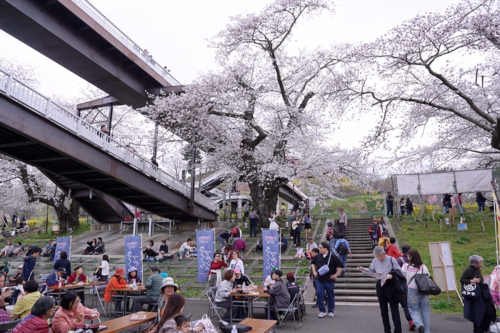 東北仙台福島自由行：景點美食一次筆記，日本旅遊不想人擠人來這就對了～