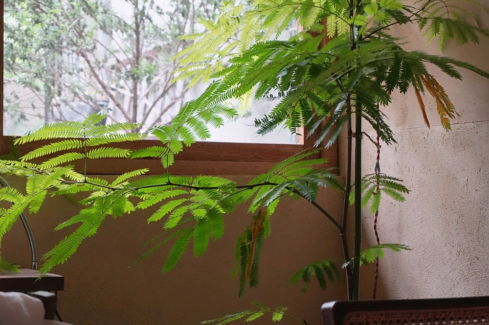 群島李季:不可錯過的台中西區咖啡店!鹽花雷夢冰咖啡我們超喜歡~ 群島李季:不可錯過的台中西區咖啡店!鹽花雷夢冰咖啡我們超喜歡~