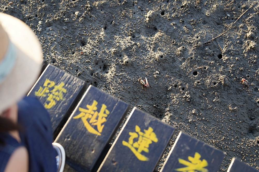 台中海洋館攻略：８大主題展區＆全台第二大水族箱！附周邊吃喝玩樂推薦