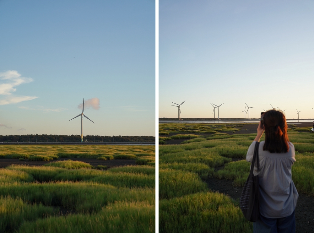 台中海洋館攻略：８大主題展區＆全台第二大水族箱！附周邊吃喝玩樂推薦