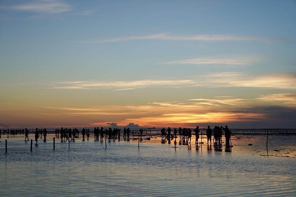台中海洋館攻略：８大主題展區＆全台第二大水族箱！附周邊吃喝玩樂推薦