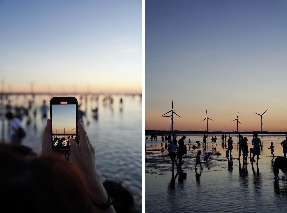 台中海洋館攻略：８大主題展區＆全台第二大水族箱！附周邊吃喝玩樂推薦