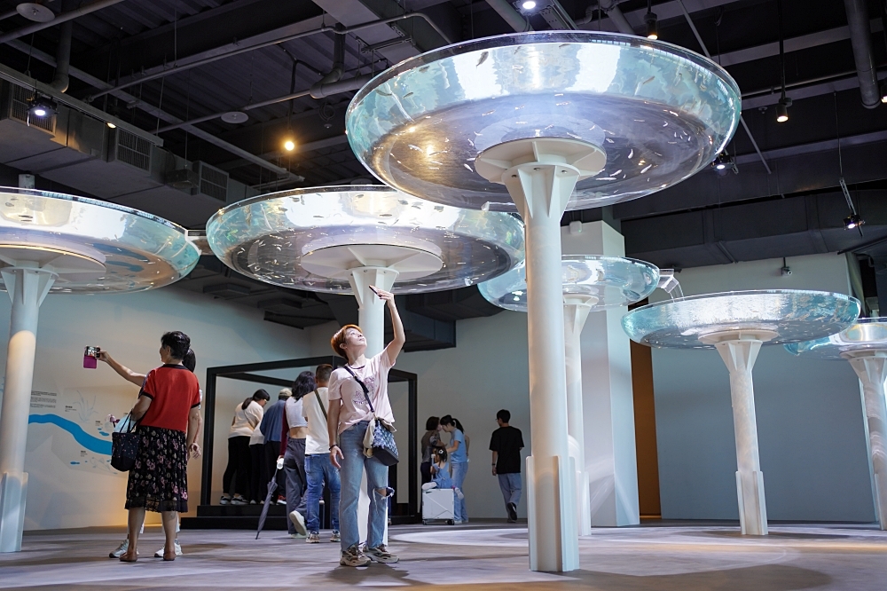 台中海洋館攻略：８大主題展區＆全台第二大水族箱！附周邊吃喝玩樂推薦
