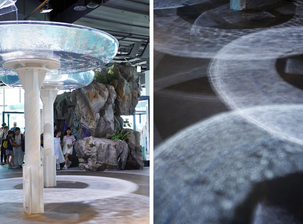 台中海洋館攻略：８大主題展區＆全台第二大水族箱！附周邊吃喝玩樂推薦