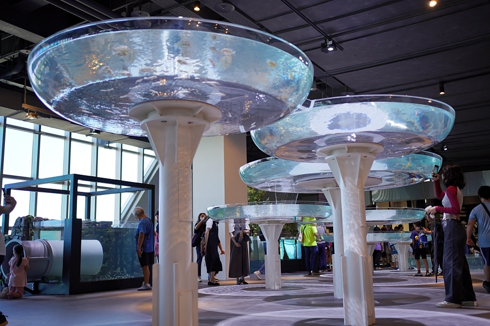 台中海洋館攻略：８大主題展區＆全台第二大水族箱！附周邊吃喝玩樂推薦