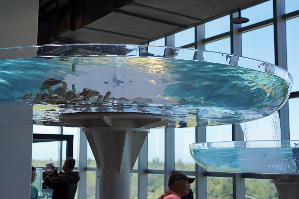 台中海洋館攻略：８大主題展區＆全台第二大水族箱！附周邊吃喝玩樂推薦