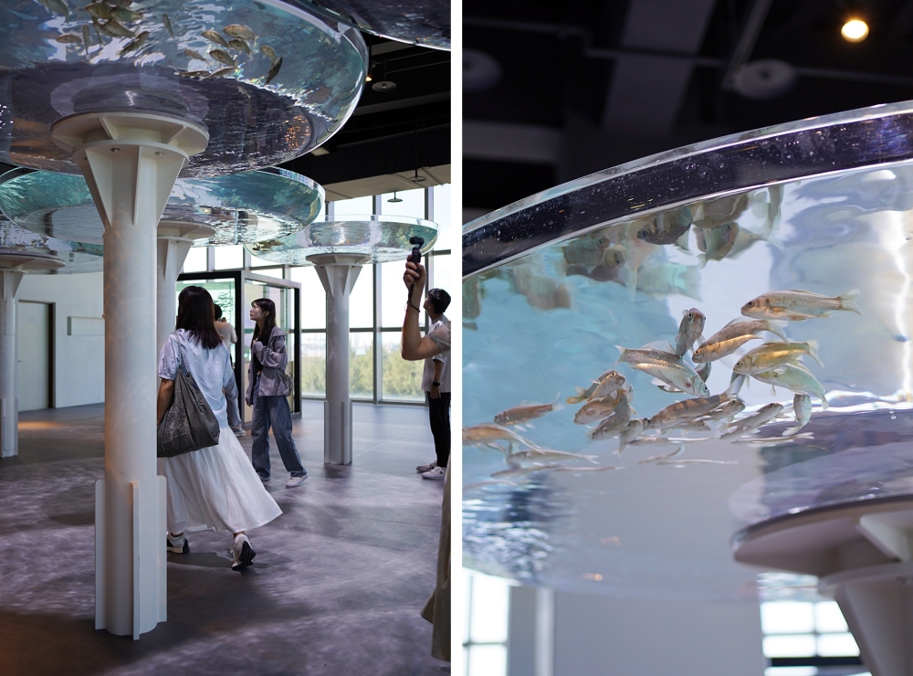 台中海洋館攻略：８大主題展區＆全台第二大水族箱！附周邊吃喝玩樂推薦