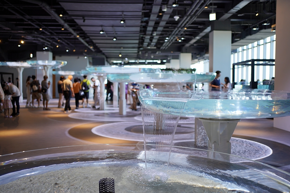 台中海洋館攻略：８大主題展區＆全台第二大水族箱！附周邊吃喝玩樂推薦