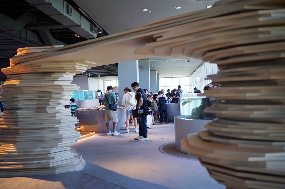 台中海洋館攻略：８大主題展區＆全台第二大水族箱！附周邊吃喝玩樂推薦