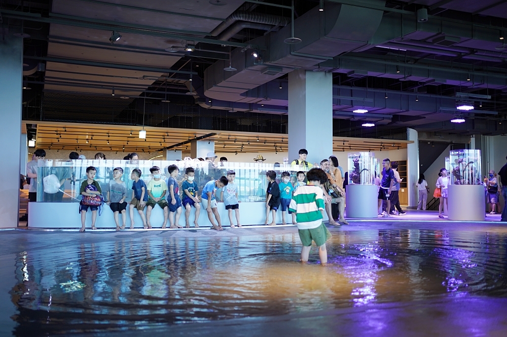 台中海洋館攻略：８大主題展區＆全台第二大水族箱！附周邊吃喝玩樂推薦