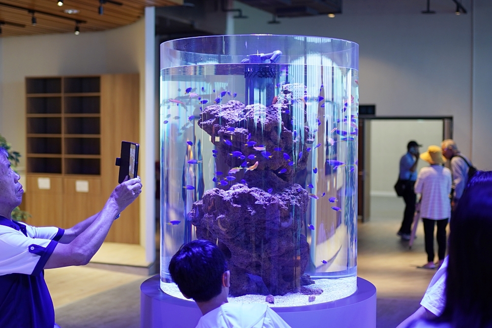 台中海洋館攻略：８大主題展區＆全台第二大水族箱！附周邊吃喝玩樂推薦