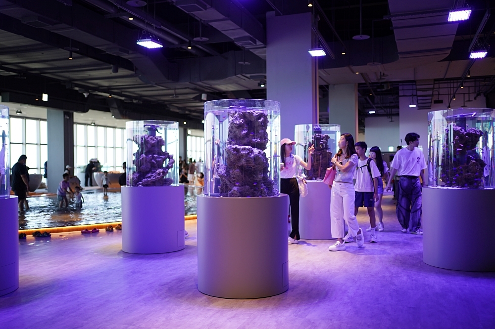 台中海洋館攻略：８大主題展區＆全台第二大水族箱！附周邊吃喝玩樂推薦
