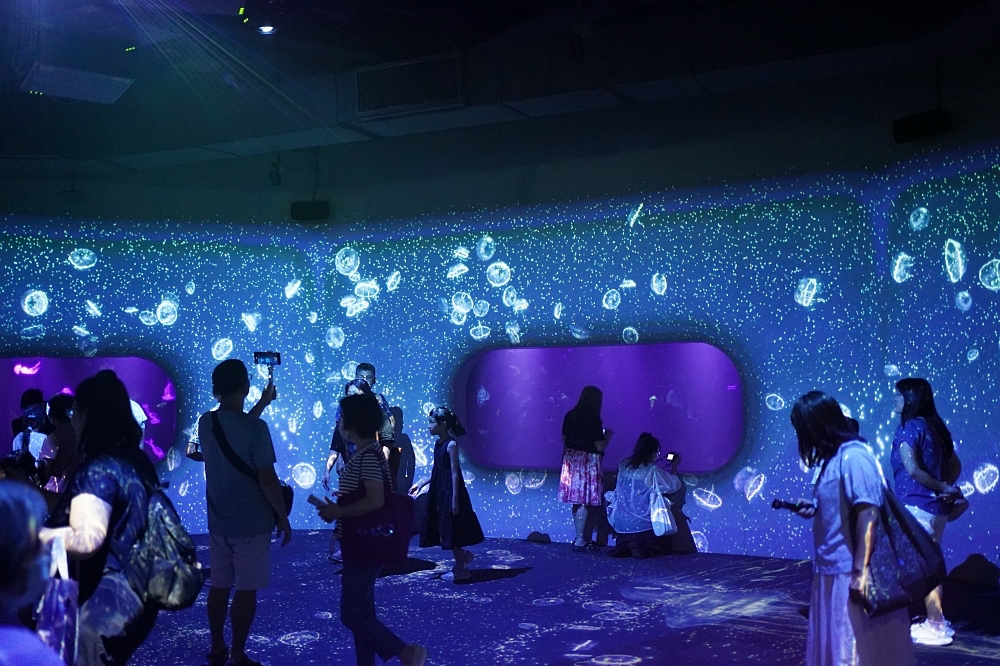 台中海洋館攻略：８大主題展區＆全台第二大水族箱！附周邊吃喝玩樂推薦