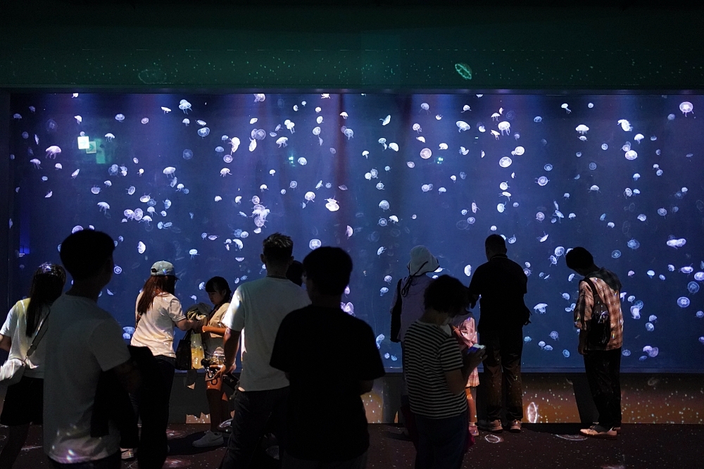 台中海洋館攻略：８大主題展區＆全台第二大水族箱！附周邊吃喝玩樂推薦