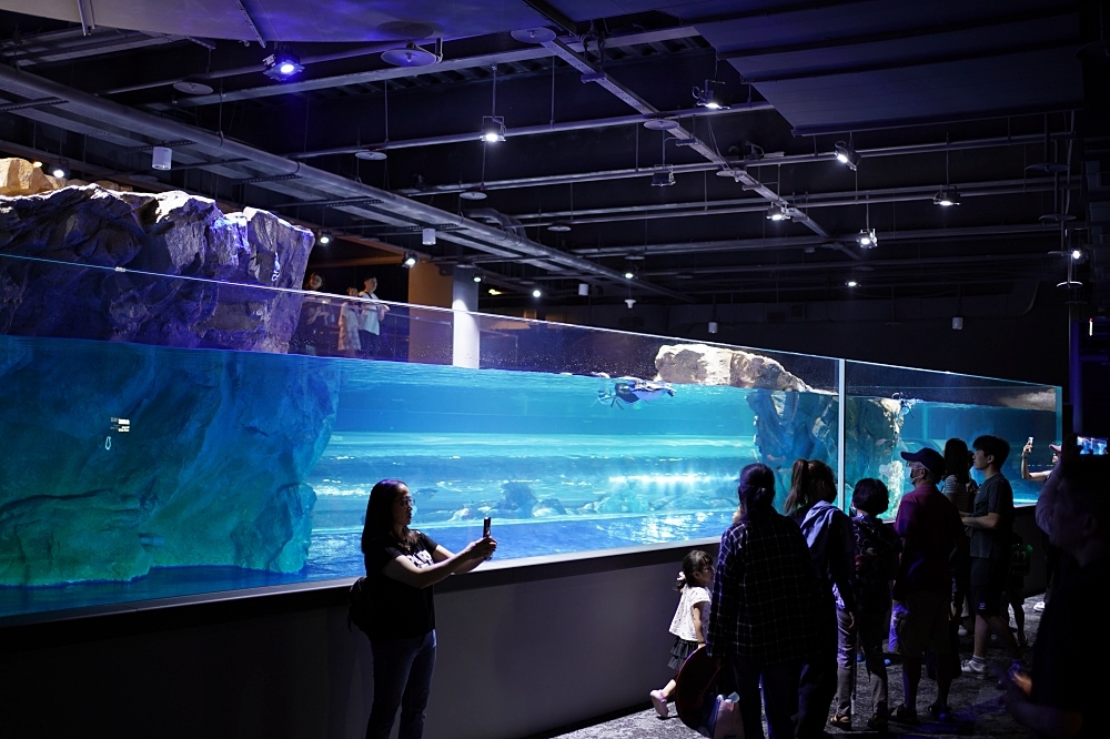 台中海洋館攻略：８大主題展區＆全台第二大水族箱！附周邊吃喝玩樂推薦