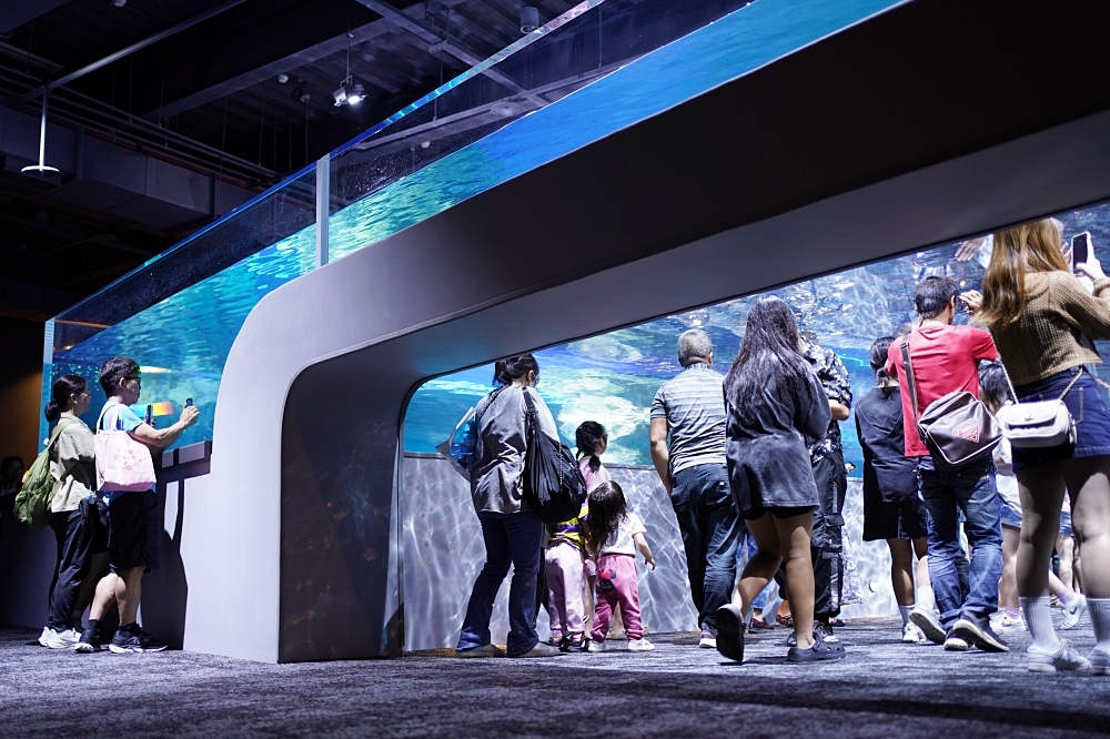 台中海洋館攻略：８大主題展區＆全台第二大水族箱！附周邊吃喝玩樂推薦