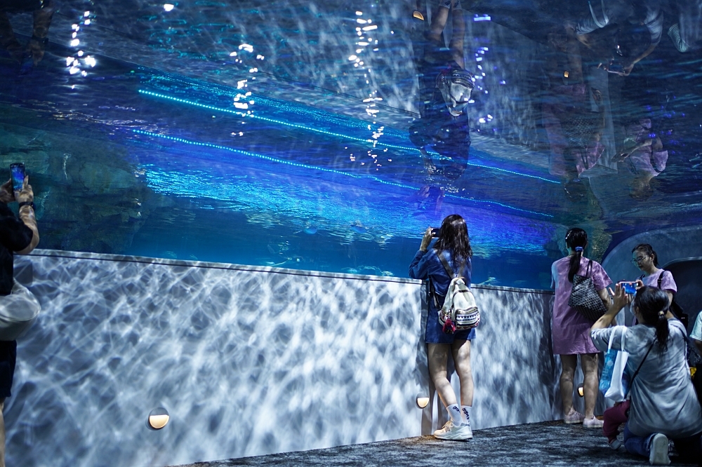台中海洋館攻略：８大主題展區＆全台第二大水族箱！附周邊吃喝玩樂推薦