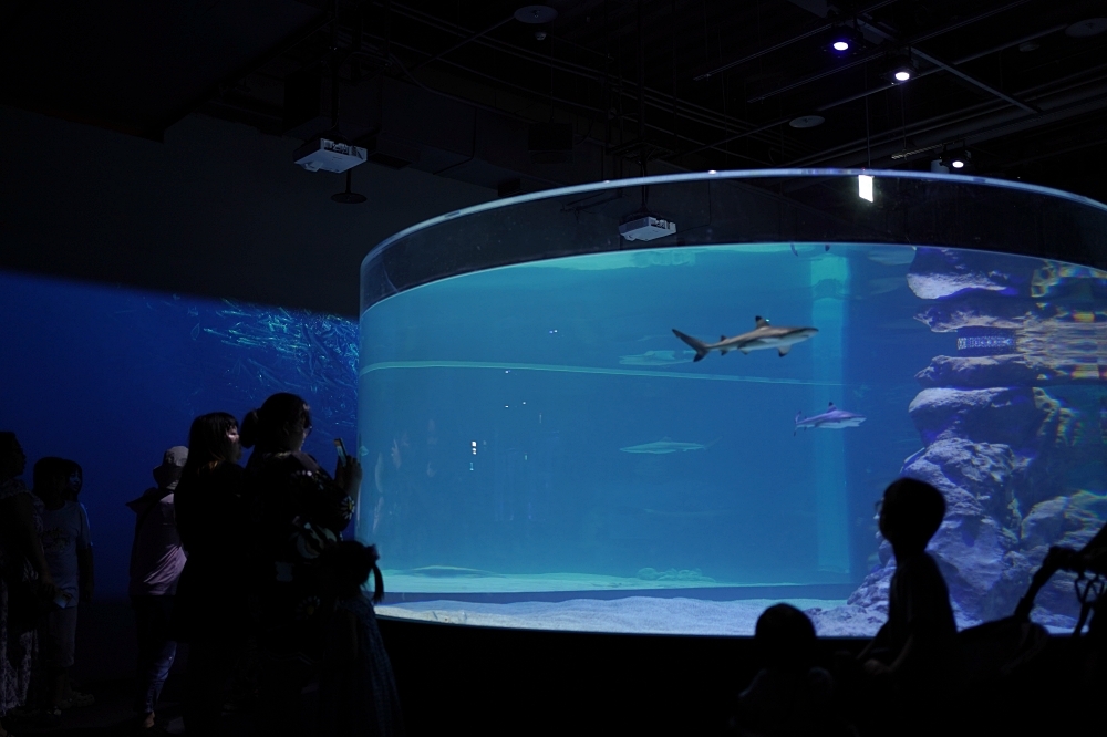 台中海洋館攻略：８大主題展區＆全台第二大水族箱！附周邊吃喝玩樂推薦